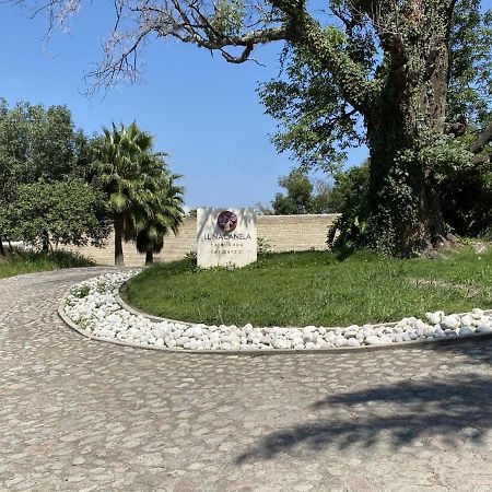 Hotel & Spa Luna Canela Boutique Atlixco Ngoại thất bức ảnh